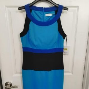 NWT Sleeveless Calvin Klein Dress